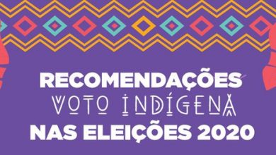 Foto de TSE divulga recomendações sanitárias para a votação em aldeias indígenas nas Eleições 2020